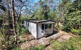 Chalet in Hattemerbroek 'Boshuisje Dennenrust'